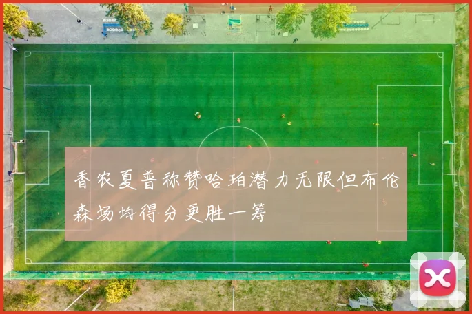 香农夏普称赞哈珀潜力无限但布伦森场均得分更胜一筹