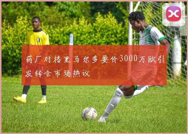 药厂对格里马尔多要价3000万欧引发转会市场热议